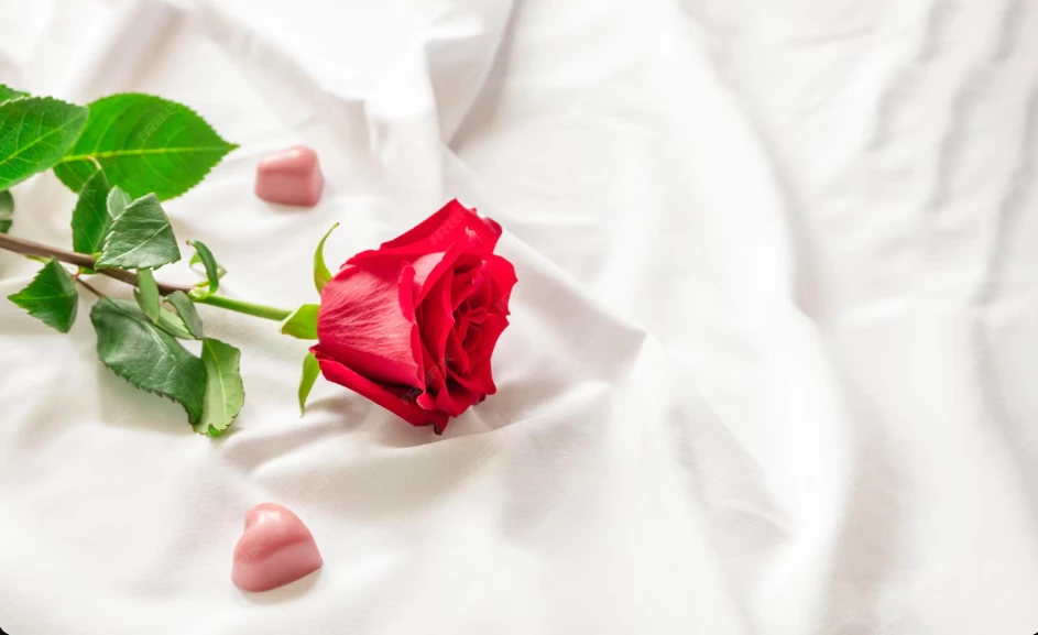 Romantisch Valentijnsverblijf in Izegem &ndash; Luxe B&B met priv&eacute; wellness & culinair restaurant